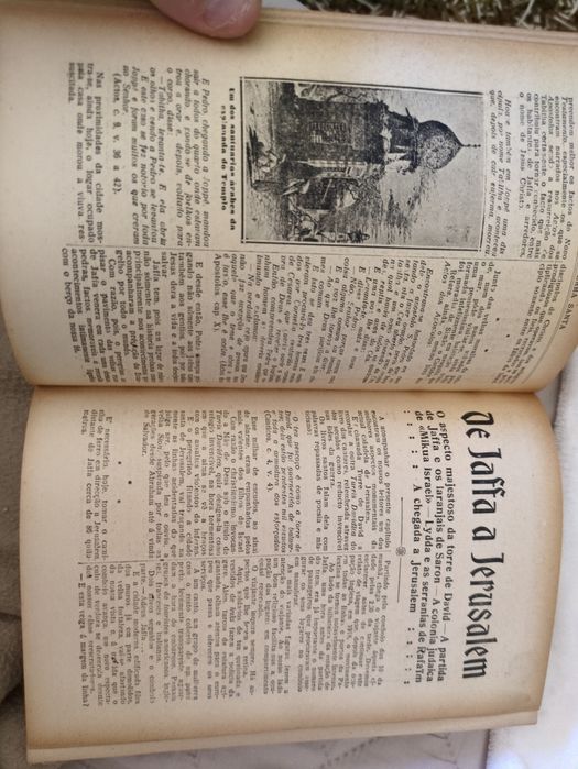 A Caminho da Terra Santa de Padre J. Alves Terças