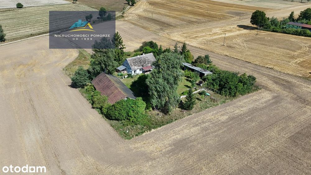 Dom na wsi wśród pól |siedlisko | dom | budynki gospodarcze | Uniechów