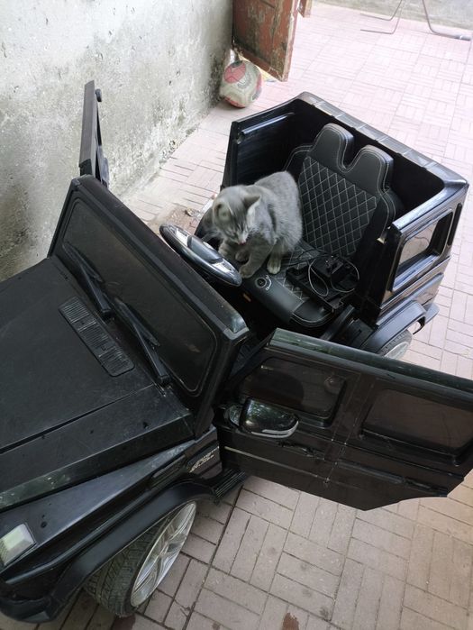 Дитячий електромобіль Mercedes-benz-g65-amg