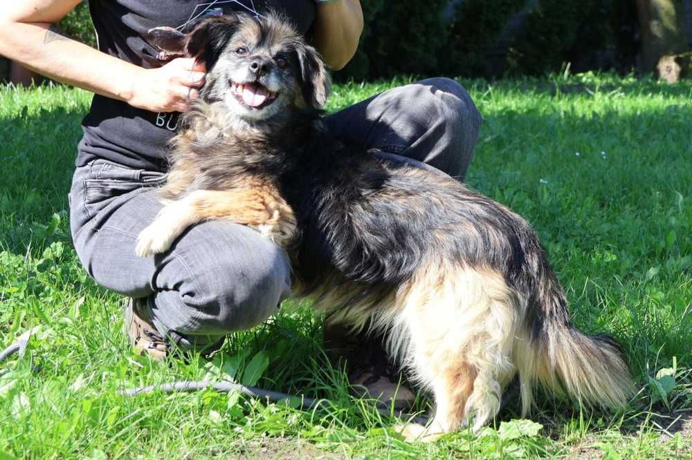 097144 Beatka do adopcji