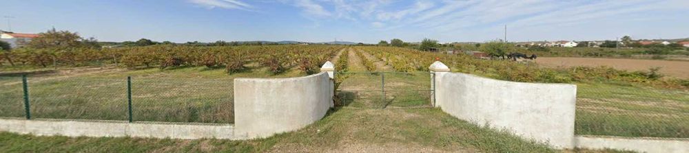 Terreno Vinha Courela da Capela