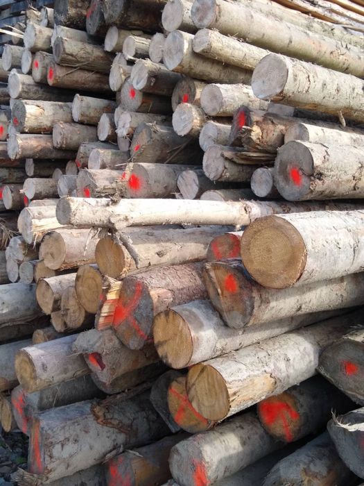 Stemple budownale, żerdzie na huśtawki lub ogrodzenia