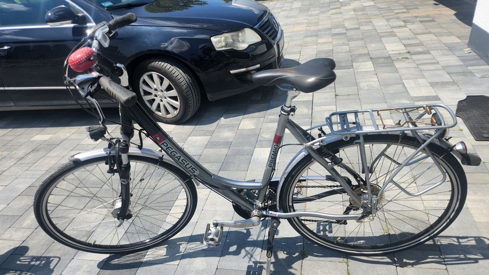 Rowery Pegasus zwykłe