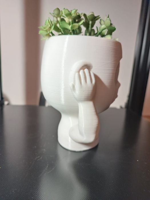 Vaso macaco cego ou surdo