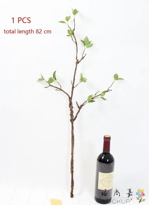 Ліана для тераріуму