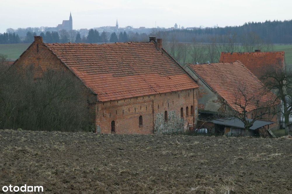 Dwór z parkiem i folwarkiem w cenie mieszkania!