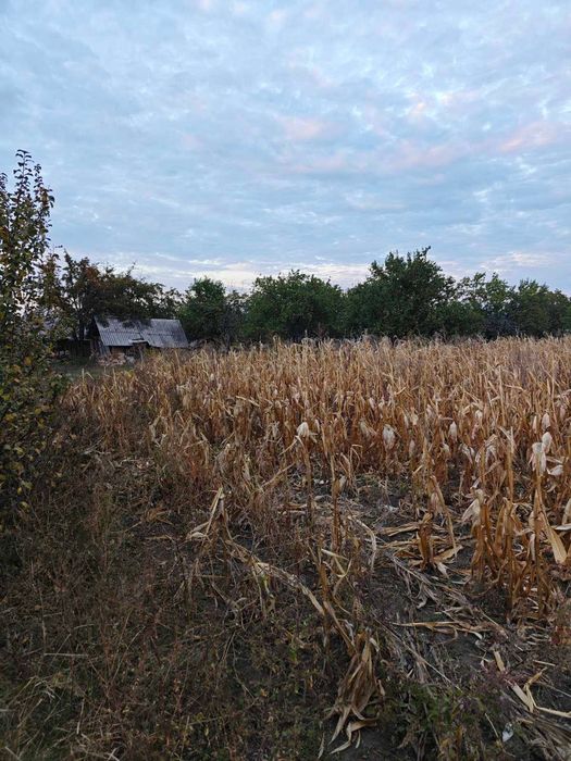 ПРОДАЮ 2 ділянки 50 соток С.ВІЙСЬКОВЕ Абельханова Дніпропетровська обл
