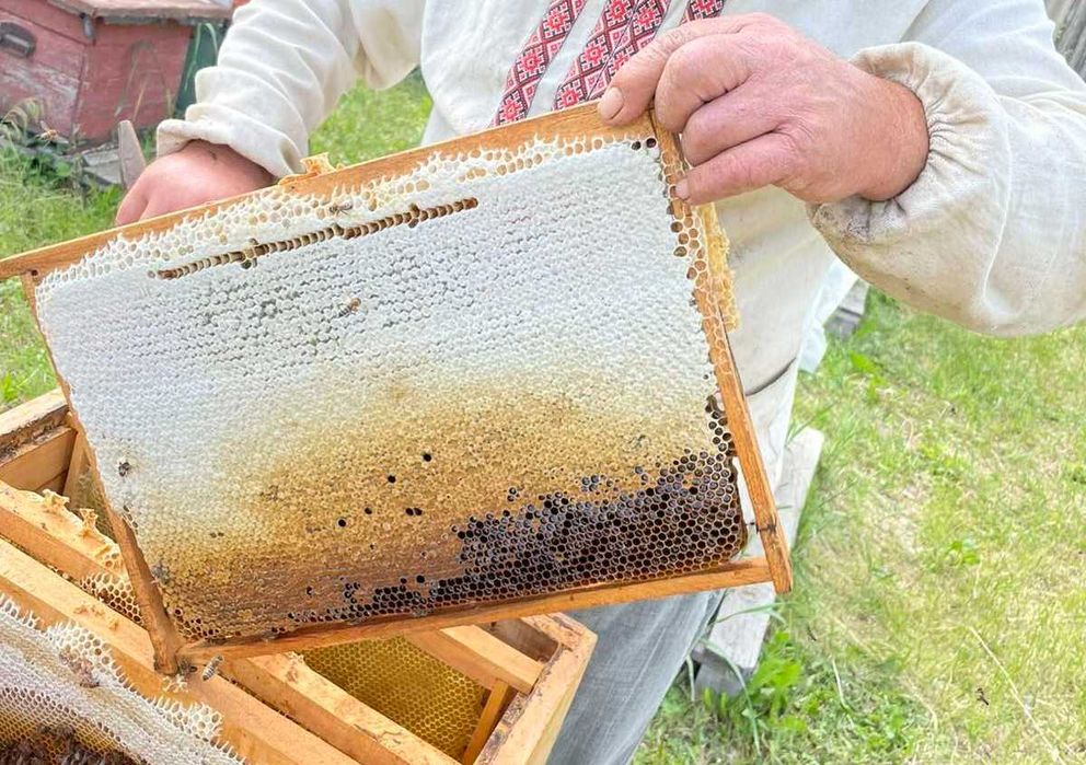 Продам Бджолопакети!!!