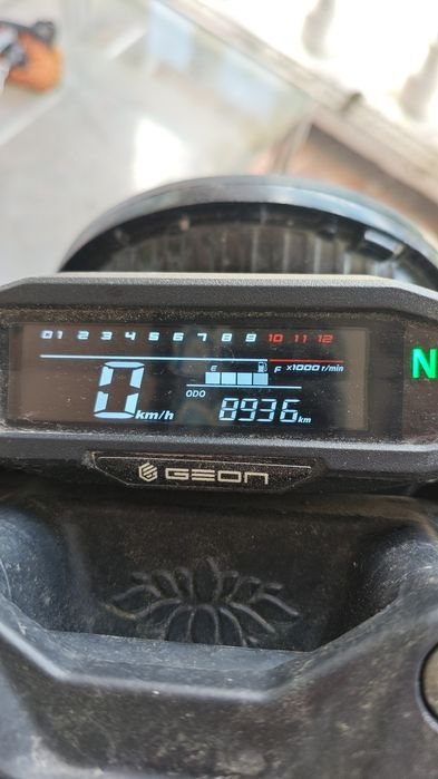 Geon scrambled 250