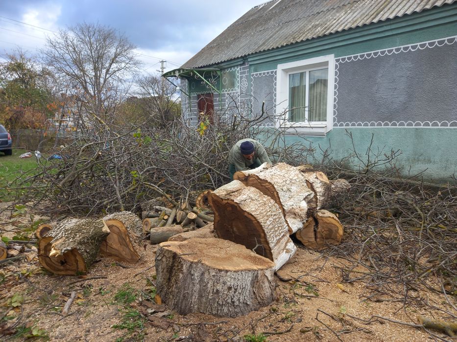 Зачистка території від чагарників, дерев.