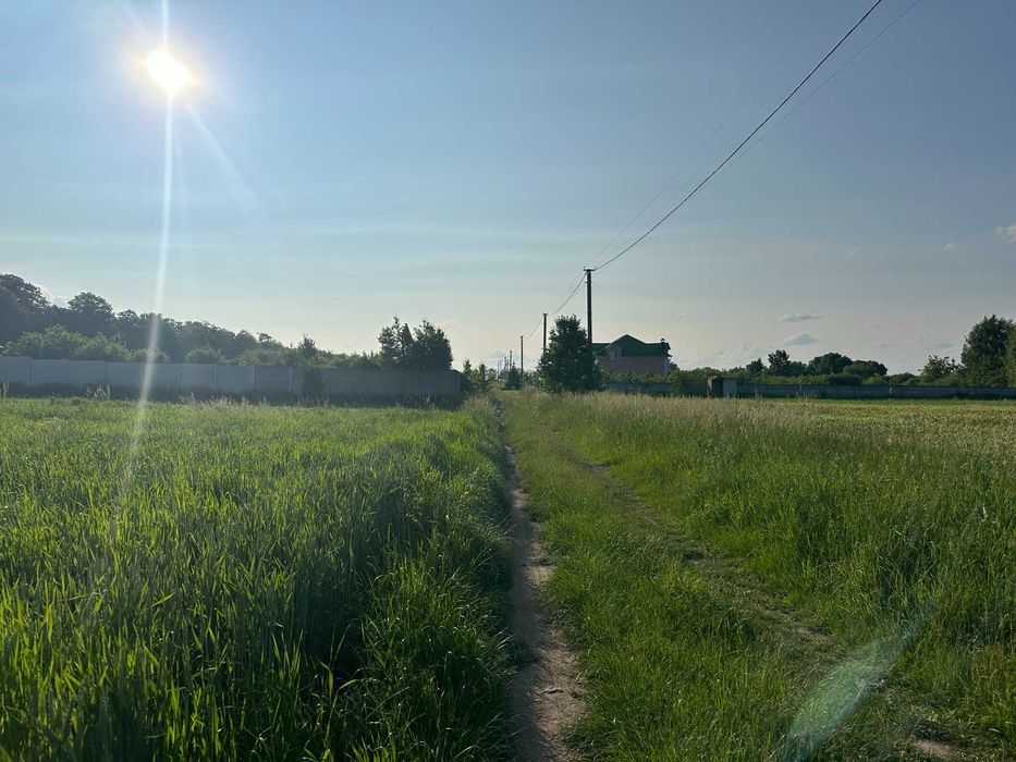 (5) Продам земельну ділянку в Лукашівці 4422