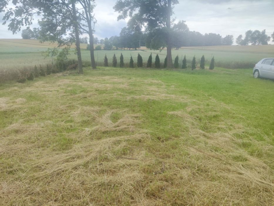 Działka nr 11 w miejscowości Koziołki. Gm Dmosin  2200m² piękna