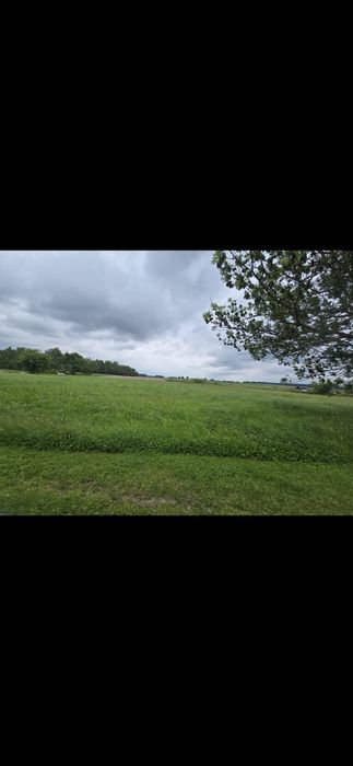 Sprzedam grunty rolne