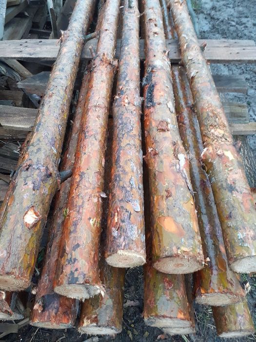 STEMPLE BUDOWLANE SOSNOWE NOWE WYSOKOŚć 3m Radom radom radom radom rad