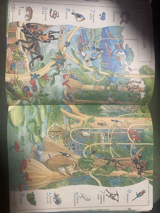 Дитяча книжка «відшукай та порахуй»