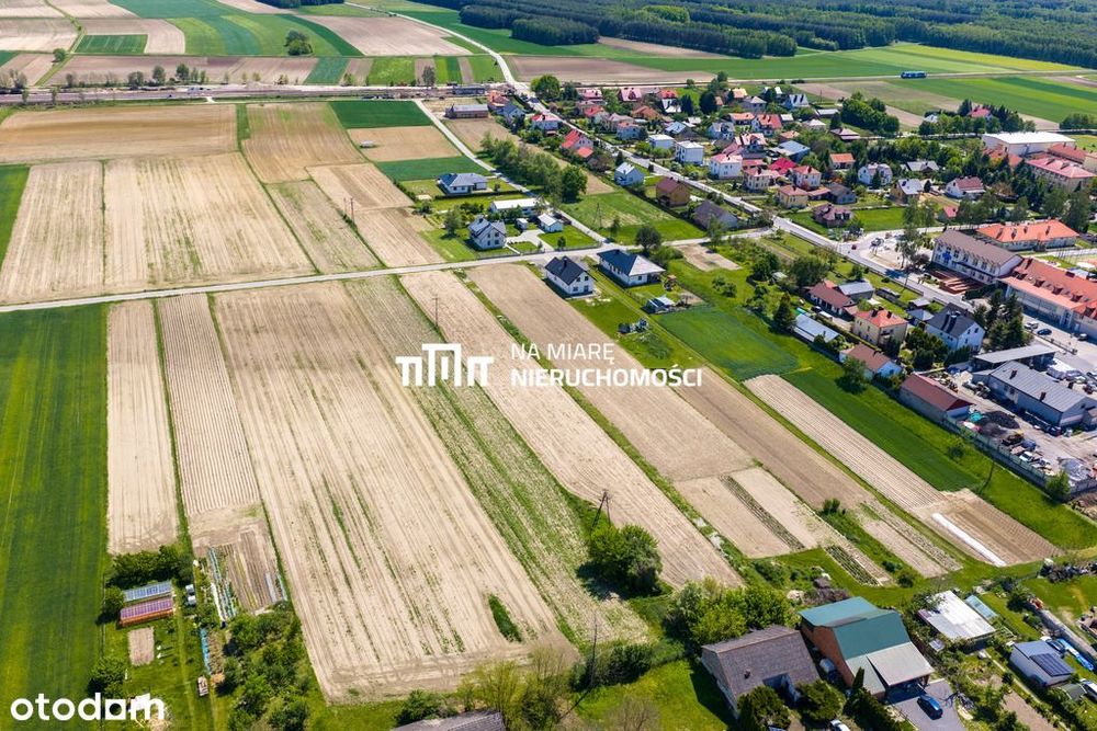 Działka 39 ar | Padew Narodowa | media