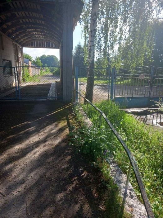 Продаж БЕЗ% земельної ділянки с.Озеряни, Рівненська обл.