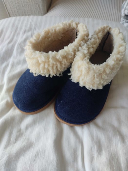 Panfufas azuis de pelo