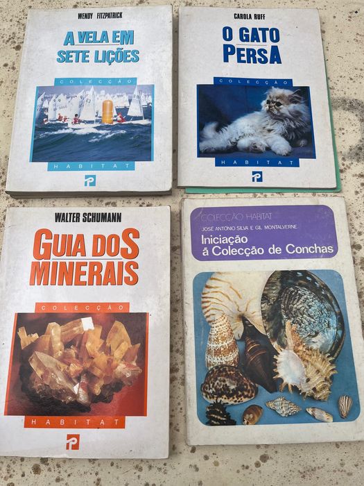 A Vela, os Minerais, as Conchas, o Gato