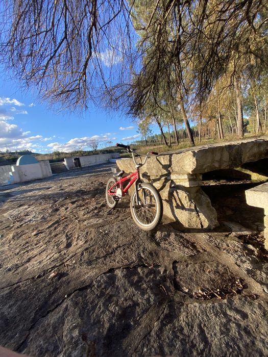 bmx roda 20, sem travao