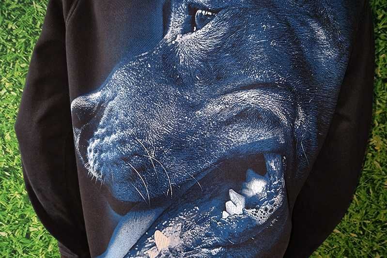 PittBull West Coast bluza bawełniana Blue Eyed Devil rozmiar: S-M