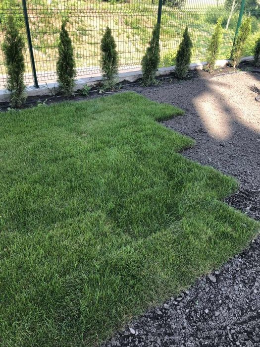 Автоматический полив.Низкие цены.