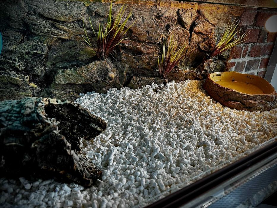 Terrarium szklane z pustynnym wystrojem 100x50x30 c. AlleTerra