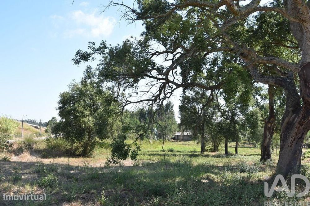 Terreno para construção em Amor de 2619,00 m2