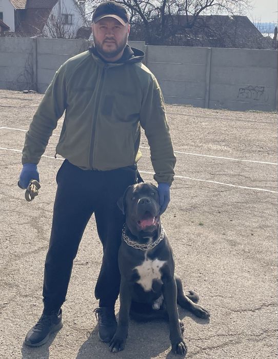 Дрессировка собак от 300 гр Заводской район,выезд цена договорная