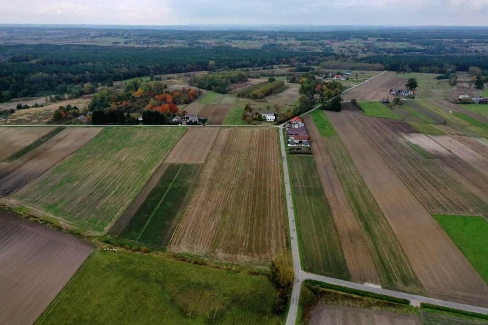 Działka pod dom 3000m2 - Janina gm. Busko-Zdrój