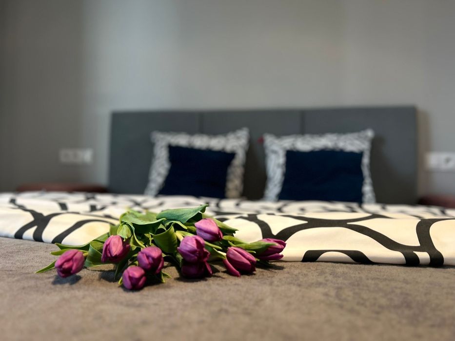 Apartament na godz/doby od 120zl Katowice Sokolska