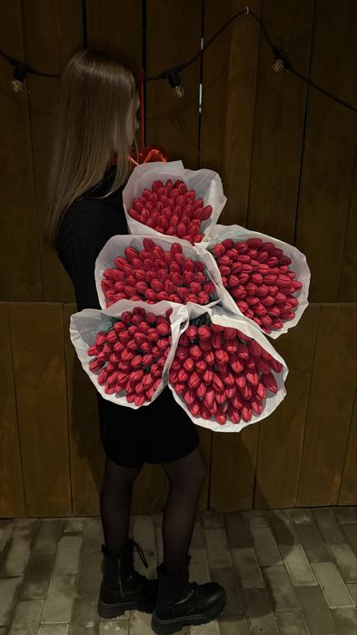 Украінський тюлпан  Бровари опт від 35 грн