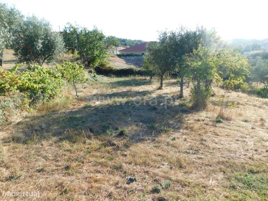 Terreno / Seia, Seia — Seia, São Romão E Lapa Dos Dinheiros, Guarda