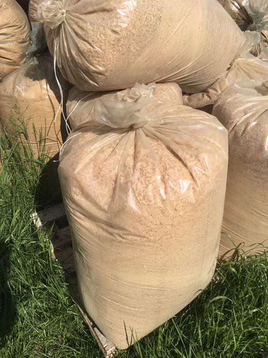 Wióry dębowe suche