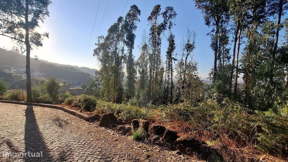 Terreno  para venda