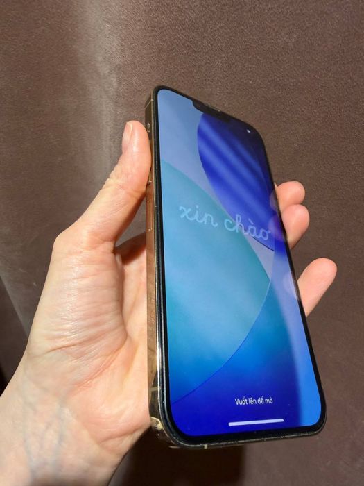 iPhone 13 Pro Max 128 Gb Gold