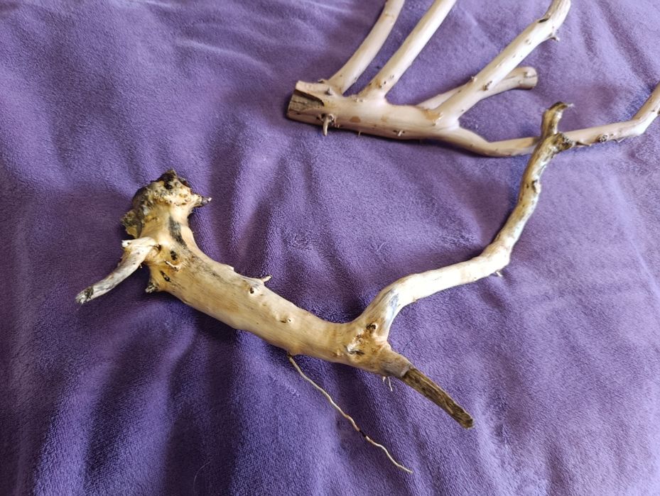 Коряга для акваріума