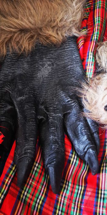 Fato de carnaval lobisomem