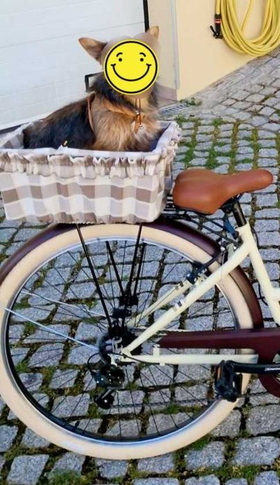 Bicicleta roda 28 com cestos, luzes e retrovisores