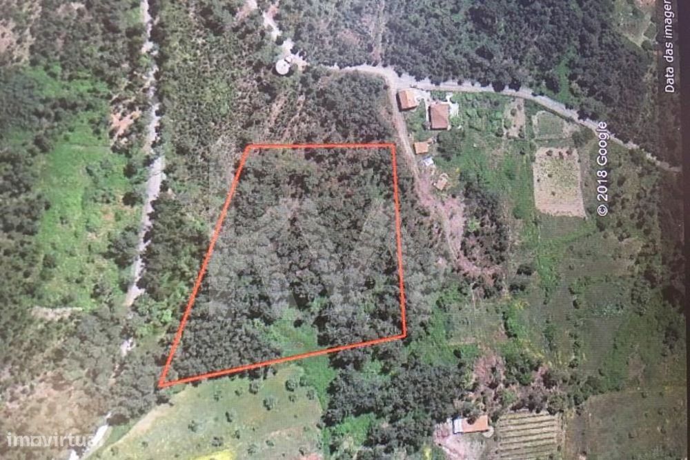 Terreno urbanizável 8500 m2 - Sertã, Castelo Branco