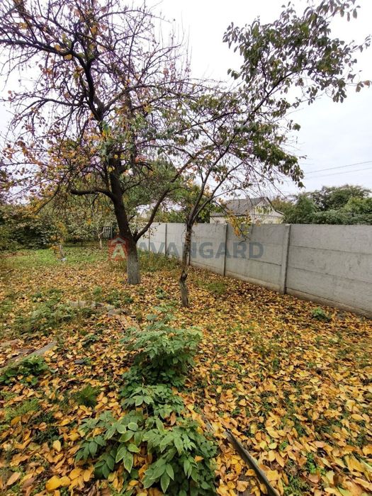 Будинок у Миколаївці (Дніпровський р-н)