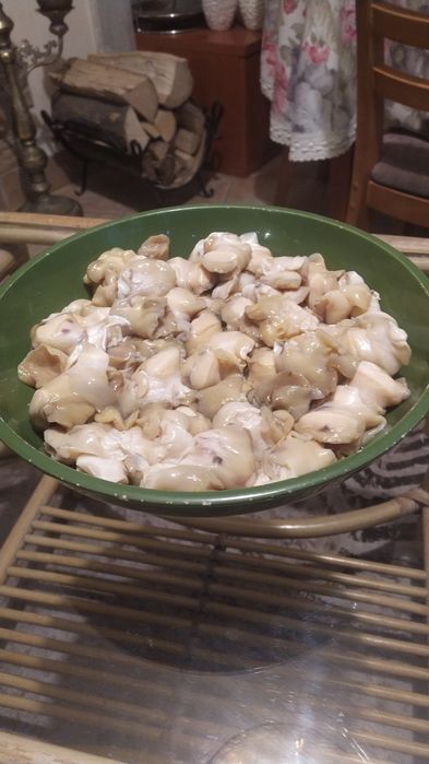 Рапаны: крупный , отборный,свеже-чищенные(замороженные)