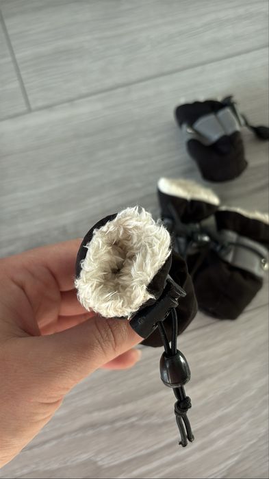 Взуття для собак маленьких порід