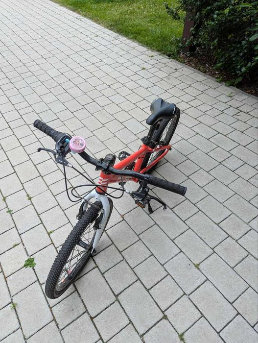 Rower Runbike Onro 20'
