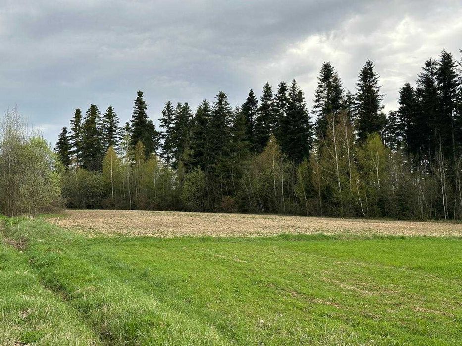 Земельна ділянка в с. Мигово Чернівецької області