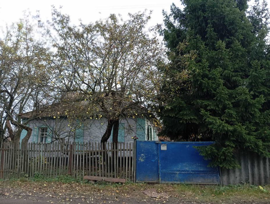 Будинок в Диканька ,опалення пічне+ газ,з енергонезалежним котлем