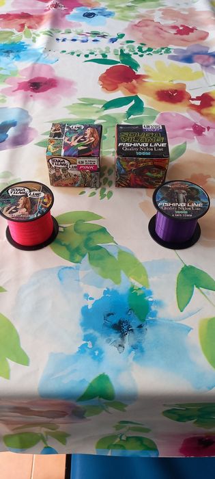 Linha de Pesca de Nylon 100 metros