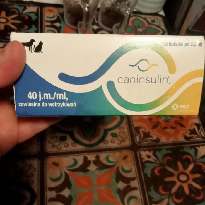 Insulina dla zwierząt