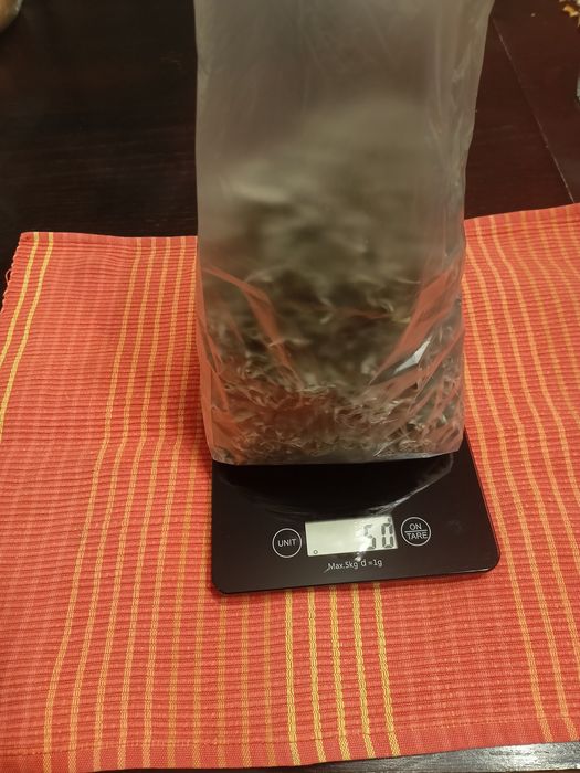 Bylica piołun suszone ziele