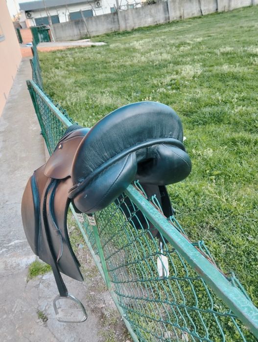 Arreios para cavalos troco por casal de ovelhas ou cabras